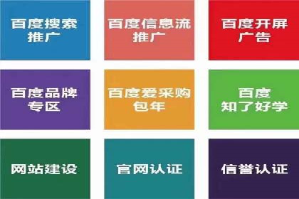 竞价托管实战案例：优化广告投放策略