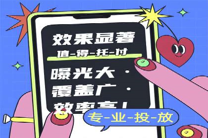 百度优化推广案例：打造高转化率网站